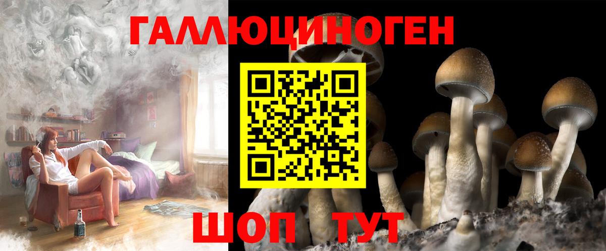 Псилоцибиновые грибы Cubensis Еманжелинск